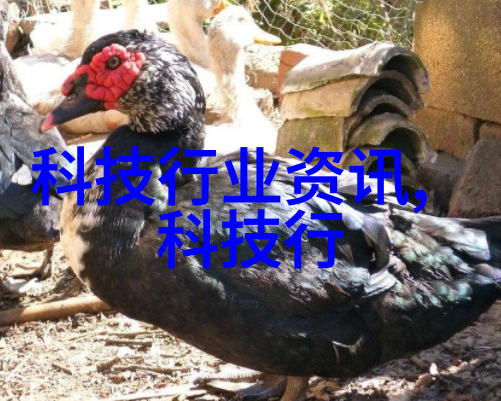 如果我是一名业主在选择专业的防水公司进行楼房维修时有哪些重要要点需要考虑以保证投资回报率高且质量可靠