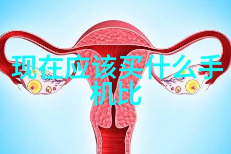 重生之归零逆袭的无尽旅程