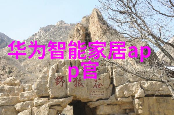智能评估指南智慧的八张面孔