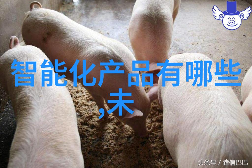 上海交大招生办解读最新高招 - 深入解析上海交通大学2023年度高水平专业类专业本科生招生政策