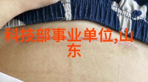 2020客厅装修效果图片哪些设计元素让空间焕然一新