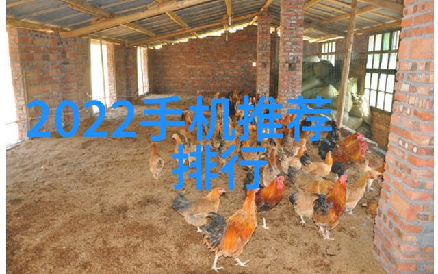 龙物在视频.YW8826奇幻世界中的龙与人类交互