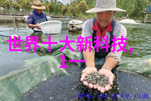 高效分离技术的关键深度探究化工膜及膜组件的发展前景