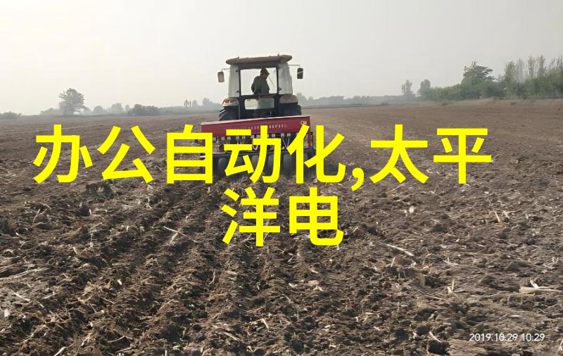 保洁我家的卫生大扫除日记