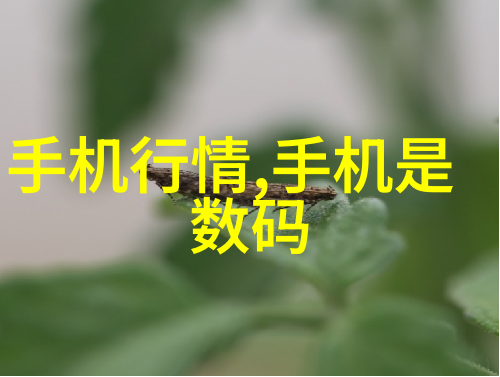 消杀公司业务全解析从基础清洁到高端消毒覆盖每一寸空间的卫生保卫