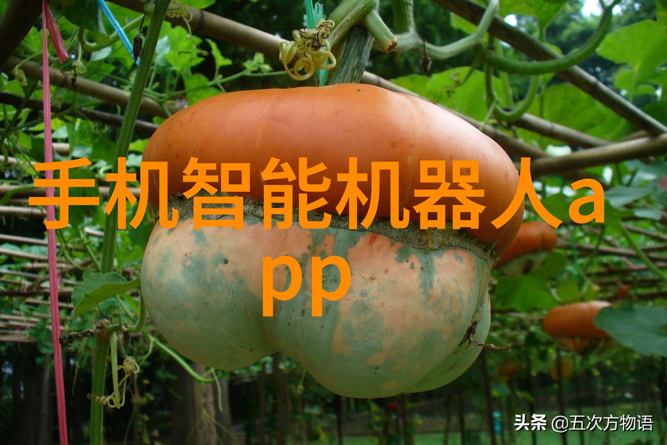 空压机油水分离器的正确安装方法空压机维护油水分离器安置技巧