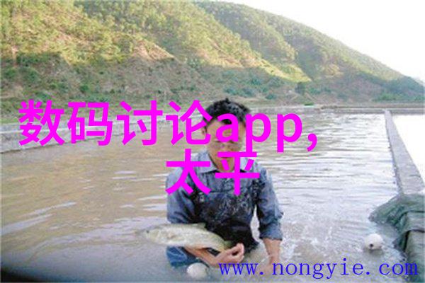 上证红利510880市盈率我眼中的股市奇迹如何从这三个数字中赚钱