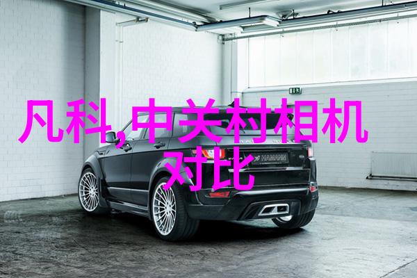 西门子S120驱动器接地过载芯片何时会重新焕发活力桔梗花语中隐藏的答案
