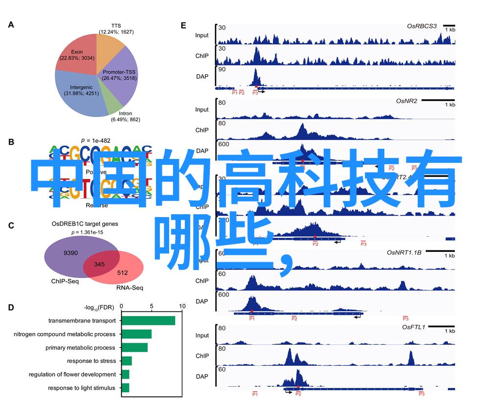 化工包衣机械高效环保的化工包衣解决方案