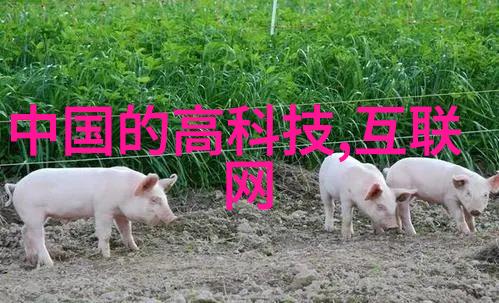 揭秘非正常事件集未解之谜与超自然现象
