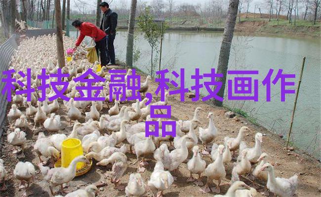 河南PE管材生产厂家绿色环保材料的选择与信赖