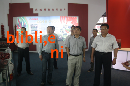 细节决定成败揭秘如何正确理解和运用不同的ppr管道尺寸