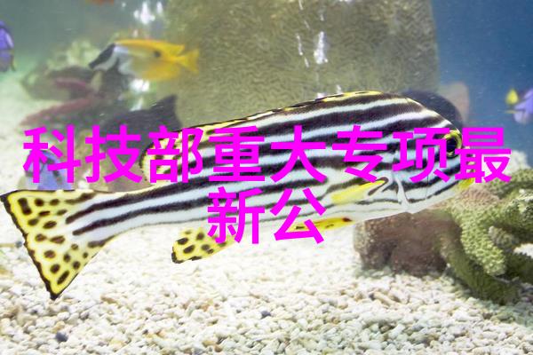 什么是现代家庭必备的洗澡间卫生间设计图片风格以及它们各自特点是什么