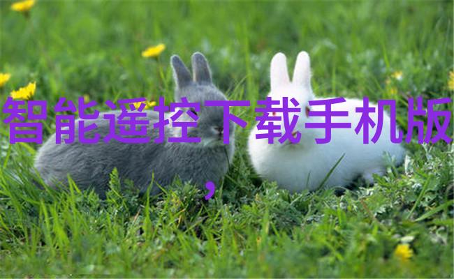 实验室用小型加热炉精密温控设备