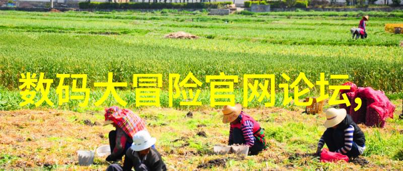 食品安全新篇章辐射杀菌设备的应用与未来发展