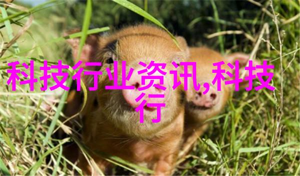 边塞玉器的秘密与往事探寻往下边塞玉器见客人背后的故事