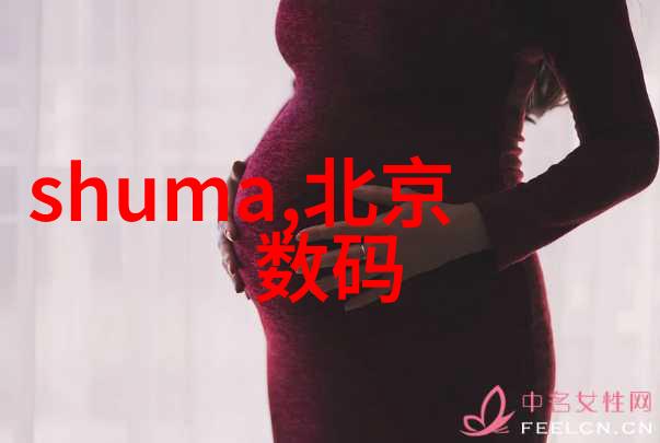 碎梦机器生活垃圾的诗意转化