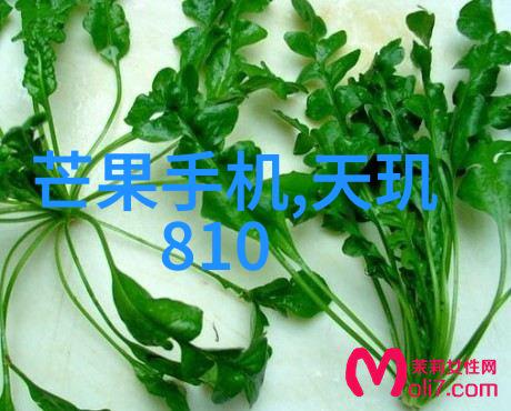 洗涤废水处理设备清洁未来守护环境的守护者