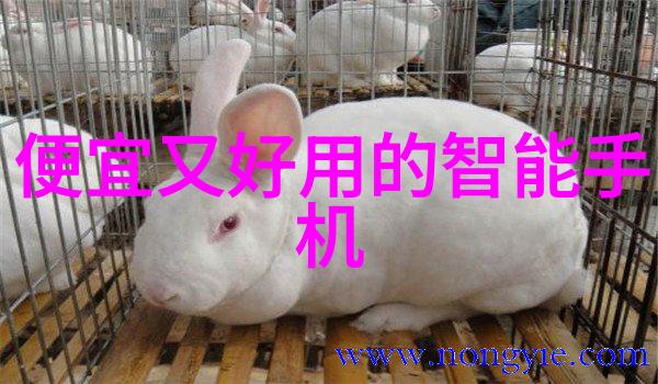 天津智能交通新篇章智慧化管理引领城市未来