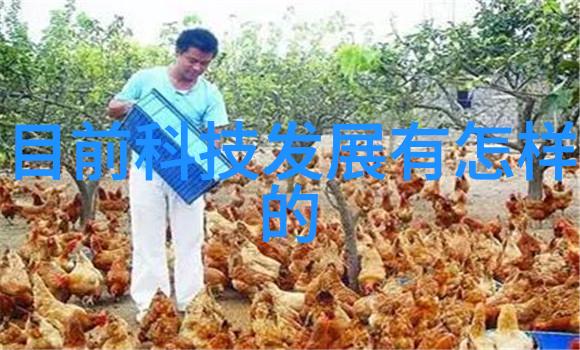 家居装修-乳胶漆颜色选择指南让您的墙面更加美观耐用