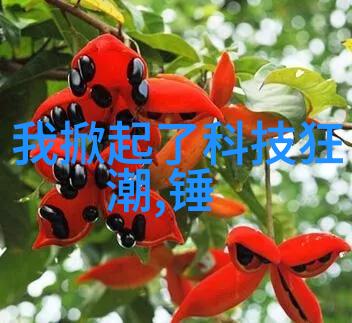 建筑装饰装修工程的全过程解析