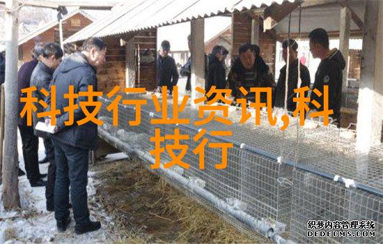 家居美学房屋设计装修效果图的艺术探索