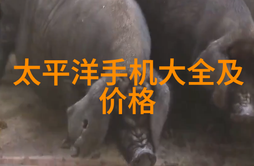 天津市智能交通网我是如何在大街小巷里遇见它的