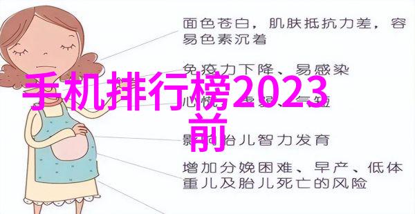 内蒙古财经大学-草原财富的学府内蒙古财经大学的辉煌历程与未来展望