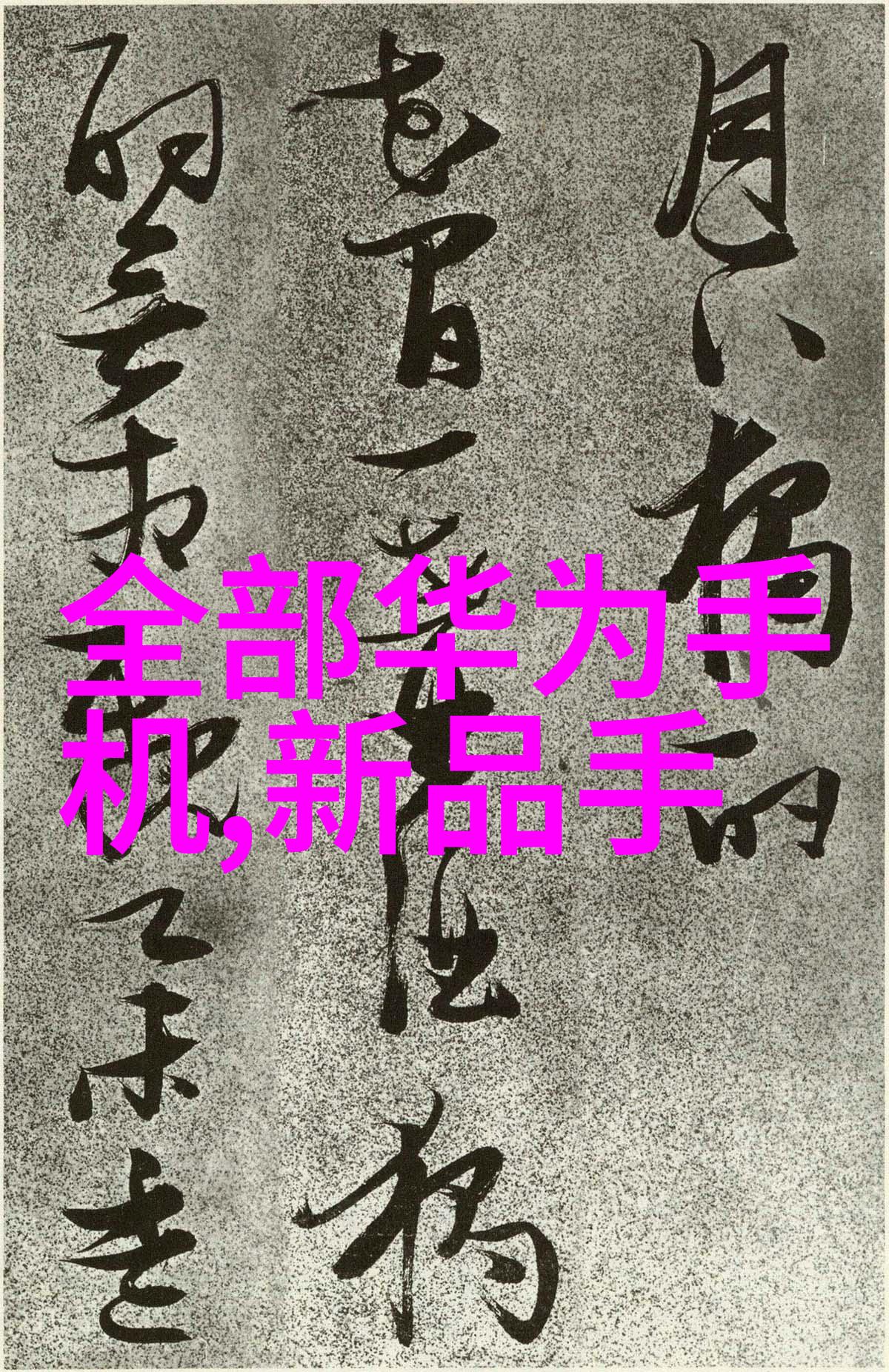 静谧旋转连续离心过滤机的沉默守护者