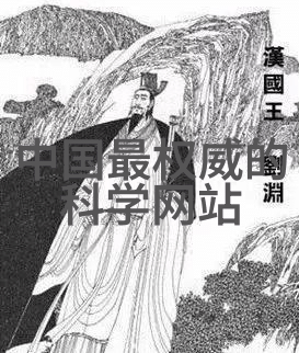 国内芯片公司排名前十-领航者揭秘中国芯片行业的十大巨擘