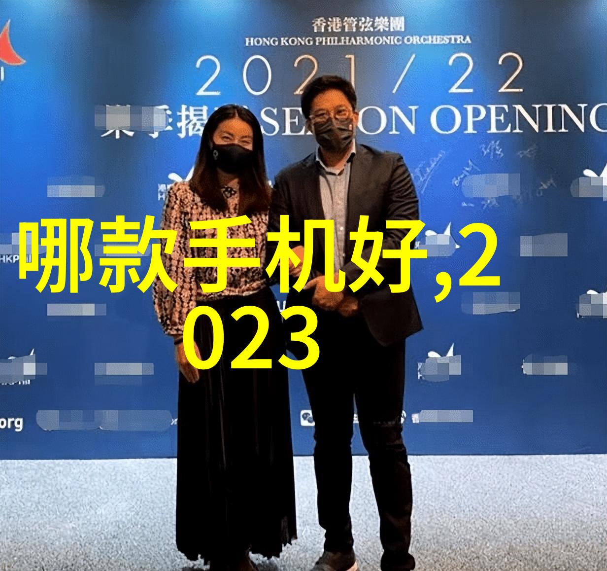未来发展趋势中对于改进性能和减少噪音水平等方面有什么新技术或创新应用将被引入到1012对辊制砂机关内