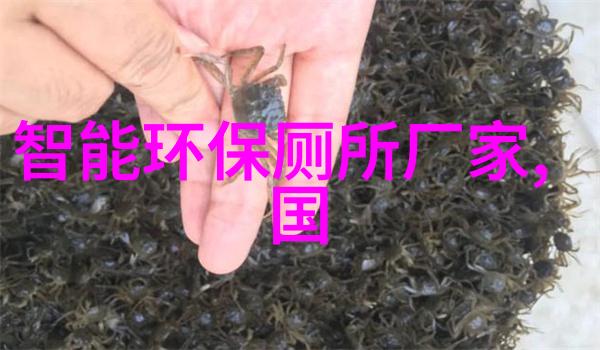 新浪大神养成计划网红之路
