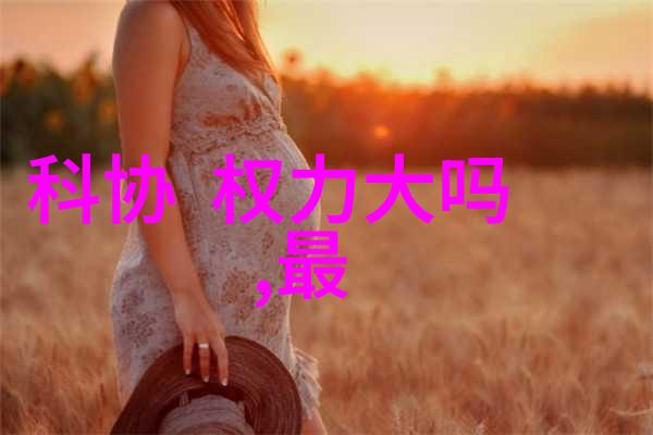 厨房局部装修艺术提升用餐体验的细节之美