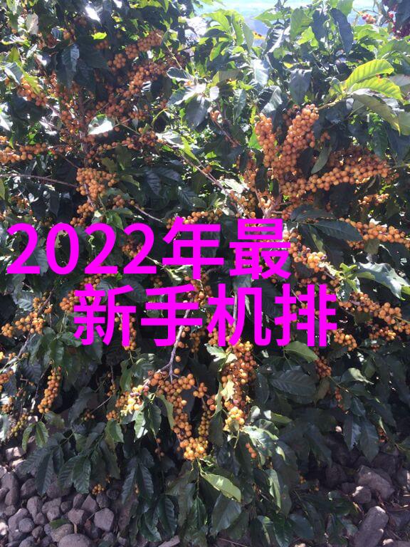 汽化过氧化氢消毒机系统高效杀菌的绿色清洁解决方案