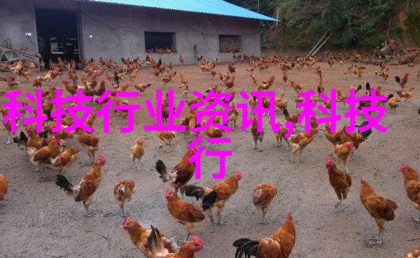 输送设备-高效运输解决方案提升物料输送系统性能