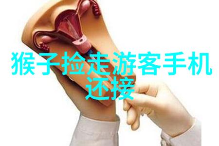 精馏设备滴落的香味与记忆的凝华