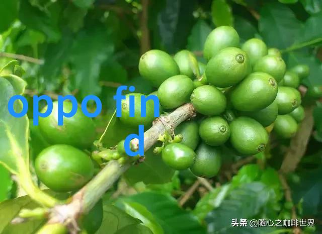 不锈钢材料的多重面向从微观结构到宏观应用的综合探讨