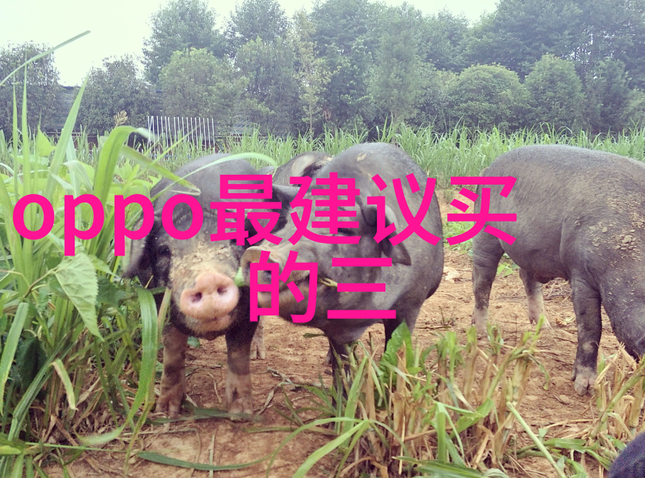 化工其他制剂设备精细制造的化学合成伙伴