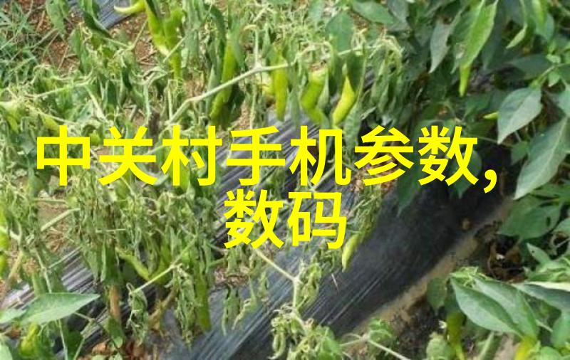 水质检测笔的便捷与准确性多功能水质检测笔的实用性探究