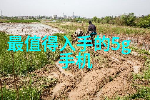 食品安全新篇章透明真空包装的杀菌之道