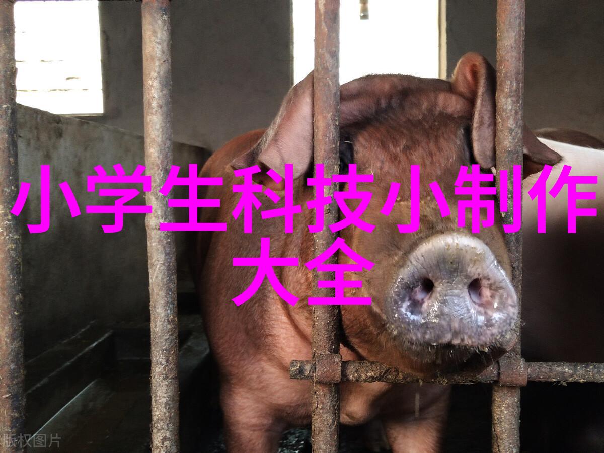 热传导机制在不同介质中的差异及其对能源效率影响的研究