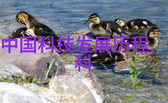 化学反应中不可或缺的基础物质