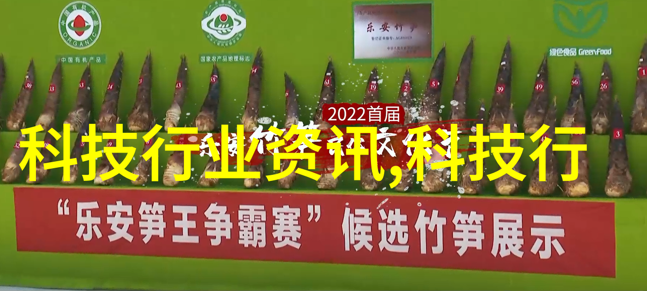 职场效率的艺术编写简要工作报告的技巧与锦囊