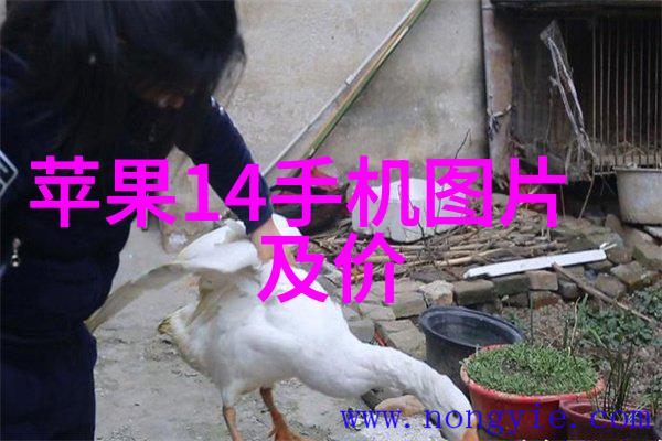 灭菌设备性能验证与维护指南