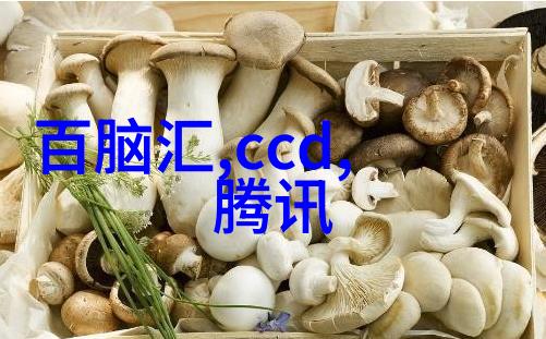 中国水利工程-揭秘中国十大水利工程巨型项目背后的故事与成就