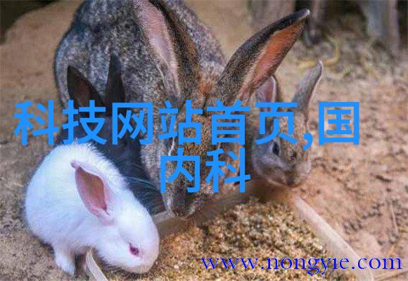 未来之光今天就可见预测未来10年里会出现什么样的男装配件
