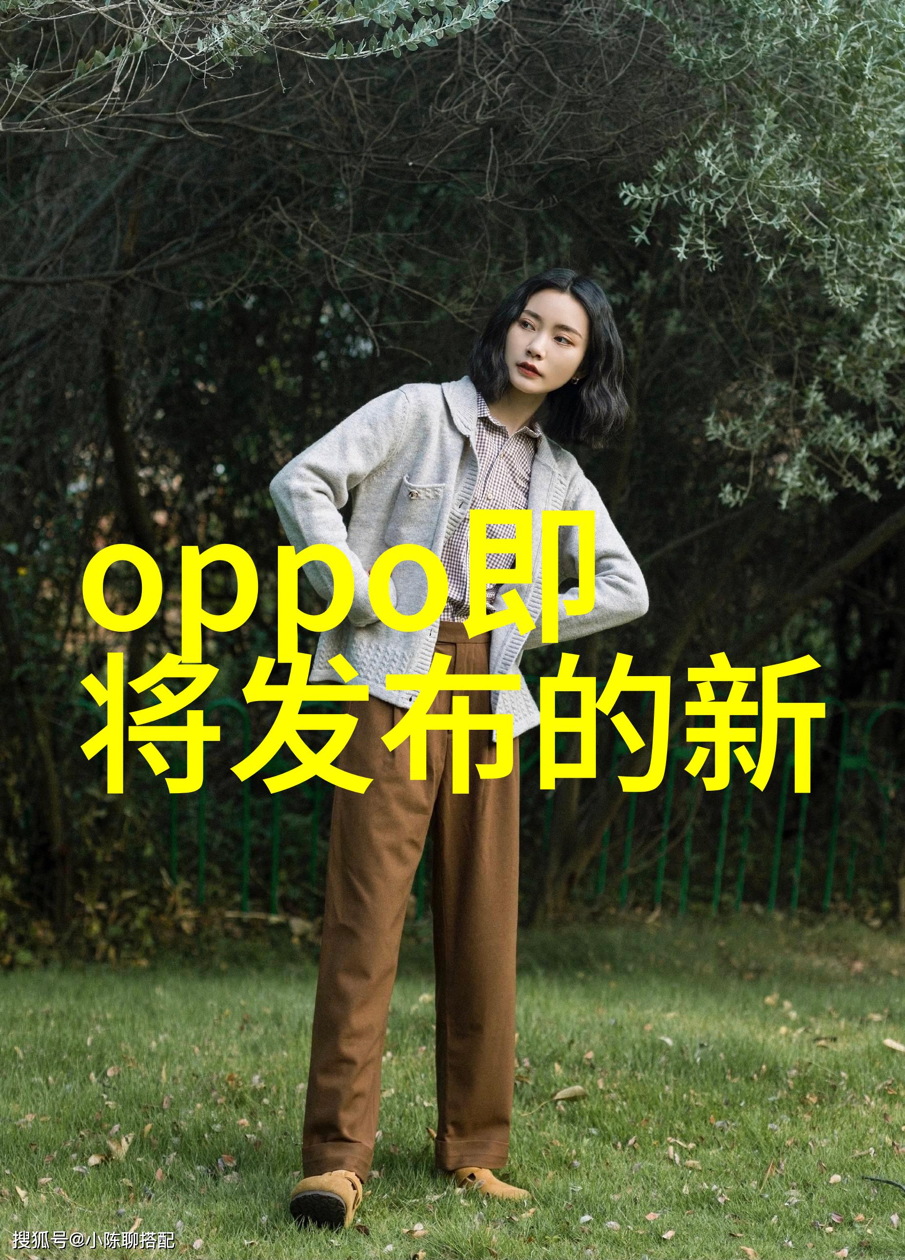 邹笨笨古风少女的悠然生活