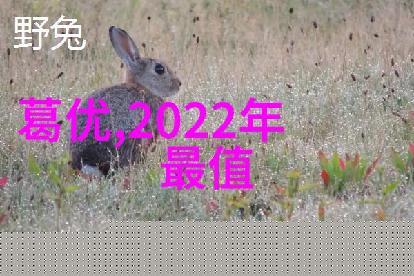 乡村韵味客厅装饰心得分享