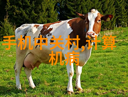 冷库设备生产厂家确保食品安全与冷链物流效率的关键技术提供者