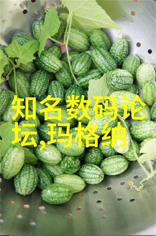 莞式三十六式解密探秘武术视频中的精髓与技巧